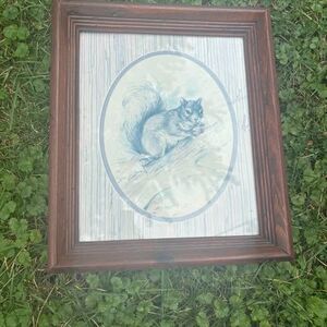 Vintage squirrel framed print 12 x 14